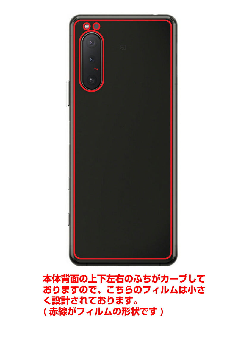 Sony Xperia 5 II用 【コラボ プリント Design by すいかねこ 004 】 カーボン調 背面 保護 フィルム 日本製