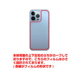 iPhone 13 Pro / iPhone 13用 【コラボ プリント Design by すいかねこ 005 】 カーボン調 背面 保護 フィルム 日本製