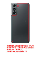 サムスン Galaxy S21 5G用 背面 保護 フィルム 名画プリント クロード・モネ ( Claude Monet ) 春の花