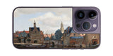iPhone 14 pro用 背面 保護 フィルム 名画 プリント フェルメール デルフトの眺望 ( ヨハネス・フェルメール Johannes Vermeer )