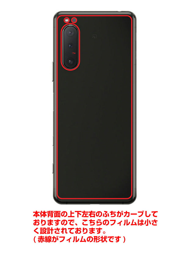 Sony Xperia 5 II用 背面 保護 フィルム 名画プリント クロード・モネ （ Claude Monet ) 睡蓮の池