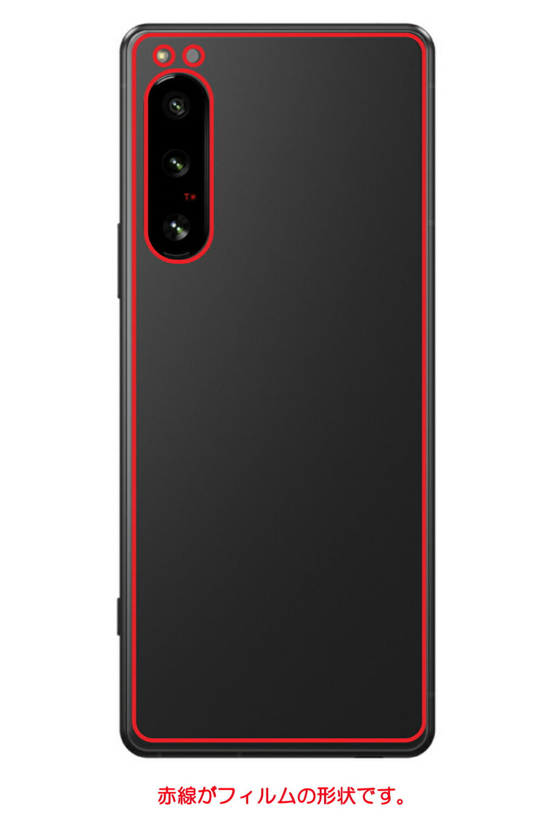 Sony Xperia 5 IV用 背面 保護 フィルム 名画プリント グスタフ クリムト 愛