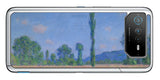 ASUS ROG Phone 6 / ROG Phone 6 Pro用 背面 保護 フィルム 名画プリント クロード・モネ （ Claude Monet ) ポプラとポピー