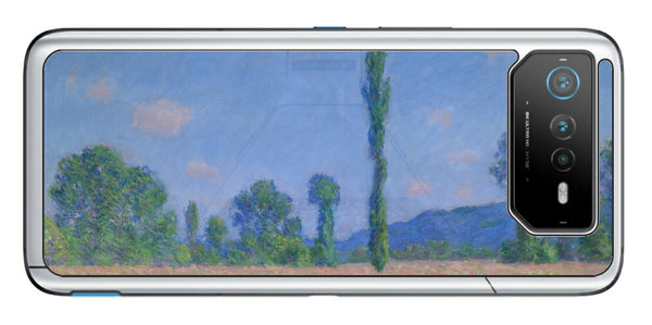 ASUS ROG Phone 6 / ROG Phone 6 Pro用 背面 保護 フィルム 名画プリント クロード・モネ （ Claude Monet ) ポプラとポピー